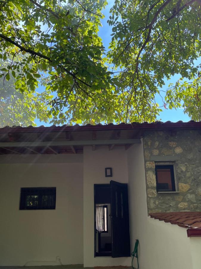 Stymfalia Cozy Village Guesthouse Karteri  Buitenkant foto